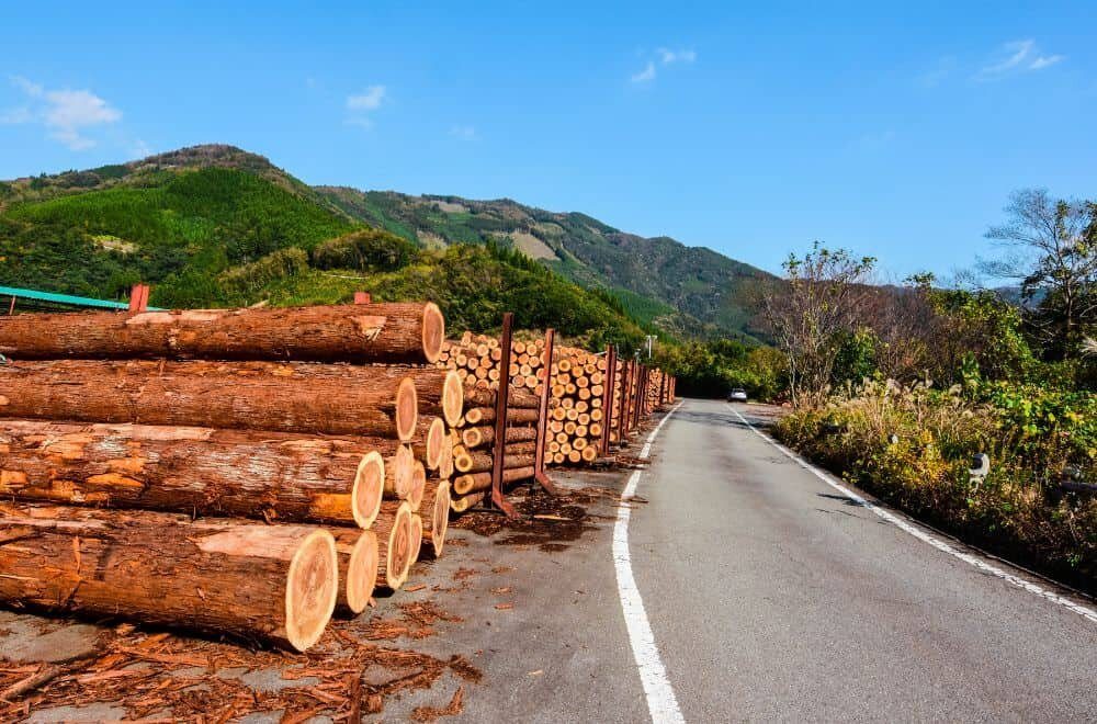 factors-affecting-wood-durability