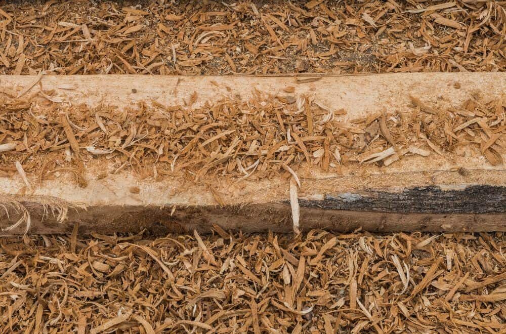 safety-tips-when-buying-sawdust-and-wood-flour
